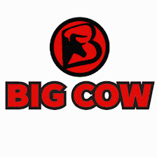 Big Cow