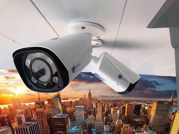 Altaico Seguridad