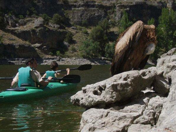 Naturaltur - Piragüismo y Actividades en las Hoces del Duratón