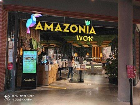 Amazonia Wok