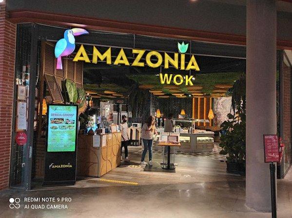 Amazonia Wok