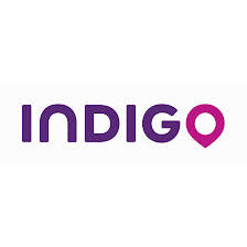 Indigo - Quevedo