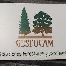 Gesfocam