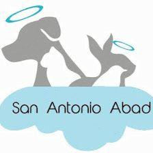 Funeraria San Antonio Abad | El Patrón de las Mascotas