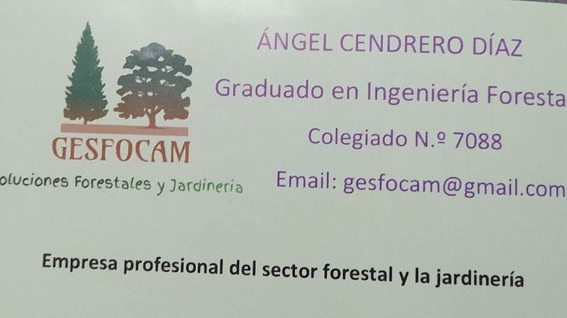 Gesfocam