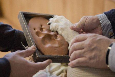 Funeraria San Antonio Abad | El Patrón de las Mascotas