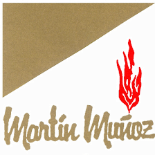 Chimeneas Martín Muñoz