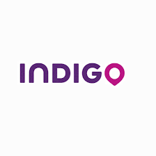 Indigo - Recaredo