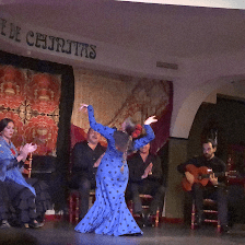 Flamenco