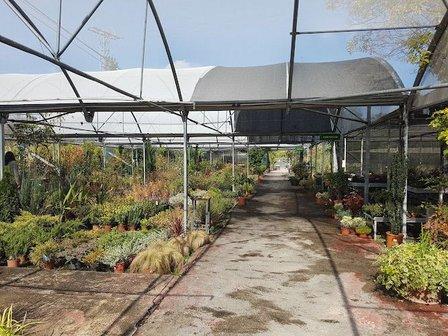 El Jardín Naturalista