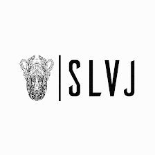 Salvaje