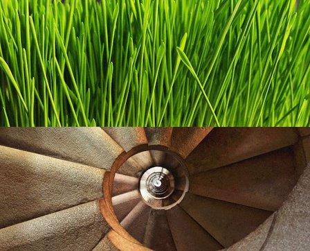 Paisadis, Paisajismo, Interiorismo y Arquitectura
