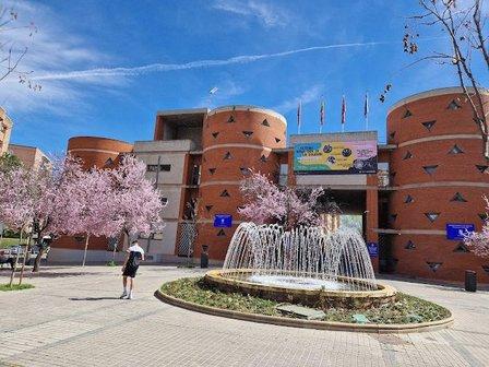 Centro Integrado Teresa de Calcuta