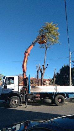 Ralogon, S. L. Materiales de construcción, RALOGON, S. L.
