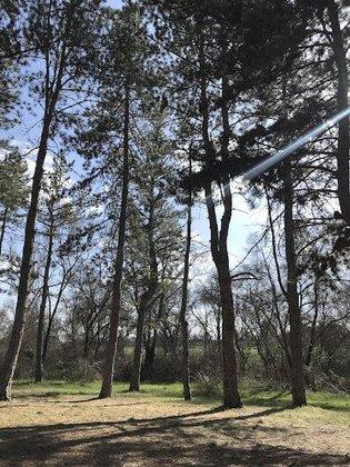 Guadarrama River Midstream Park Parking Lot