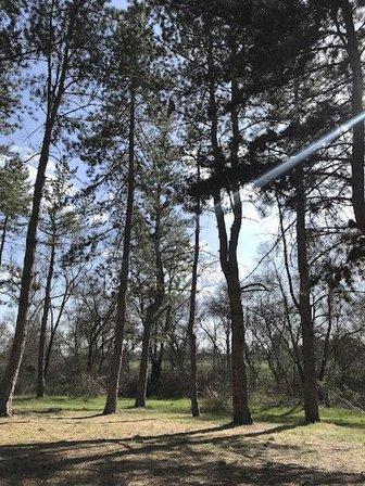 Guadarrama River Midstream Park Parking Lot