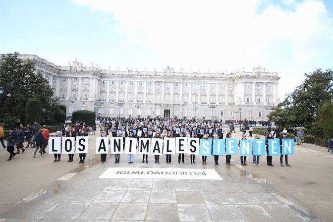 Animal Equality