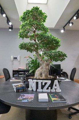 Niza Jardinería