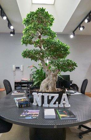 Niza Jardinería