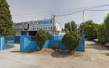 Euro Maex