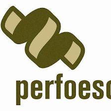 Perfoescudo SL