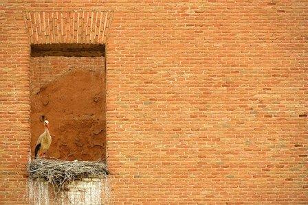 Consorcio Alcalá de Henares Patrimonio de la Humanidad