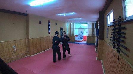 Bujinkan Uma Ryu Katana Dojo
