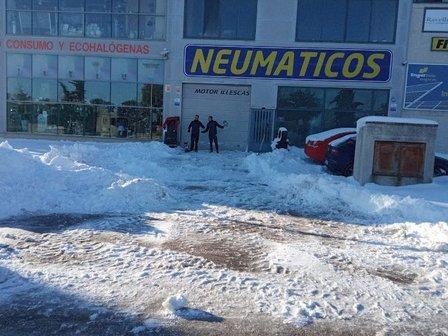 neumaticos morillo