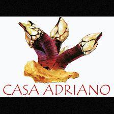 Restaurante Casa Adriano