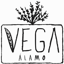 VEGA Alamo