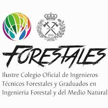 Colegio Oficial de Ingenieros Técnicos Forestales