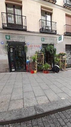 San Jorge Green Decoration