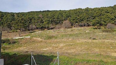 Oficina de Agentes Forestales El Escorial (PATASECA)