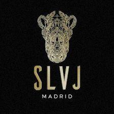 SLVJ Madrid Velazquez