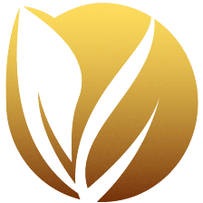 Artec Capital Energy