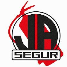 JASEGUR ELECTRONICA DE SISTEMAS