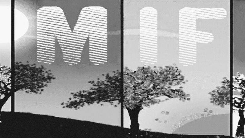 MIFM, S.L