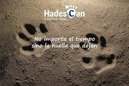 Animal Crematorium Hadescan S.L.