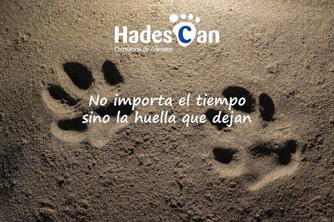 Animal Crematorium Hadescan S.L.