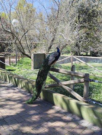 Parking Zoo Aquarium de Madrid