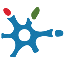 Daño Cerebral Castilla-La Mancha (ADACE CLM)