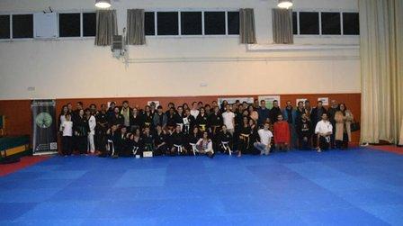 OSDAM (Organización Solidaria de Artes Marciales)
