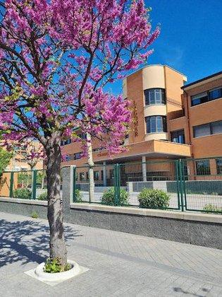 Cooperative College Lagomar