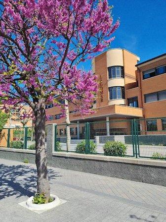 Cooperative College Lagomar