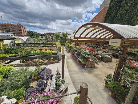 Casla Gardening