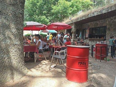 Pinar El Chorro