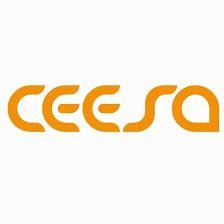 Consultora de Economias de Escala SA