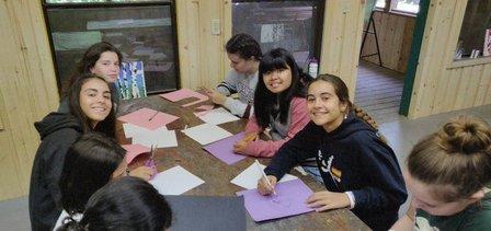 Forenex Summer Courses