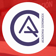 ACADEMIA EN LEGANES - CERONICEX - Apoyo Escolar - Primaria, ESO y Bachillerato - Inglés