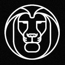 Whitelion Dj's Madrid
